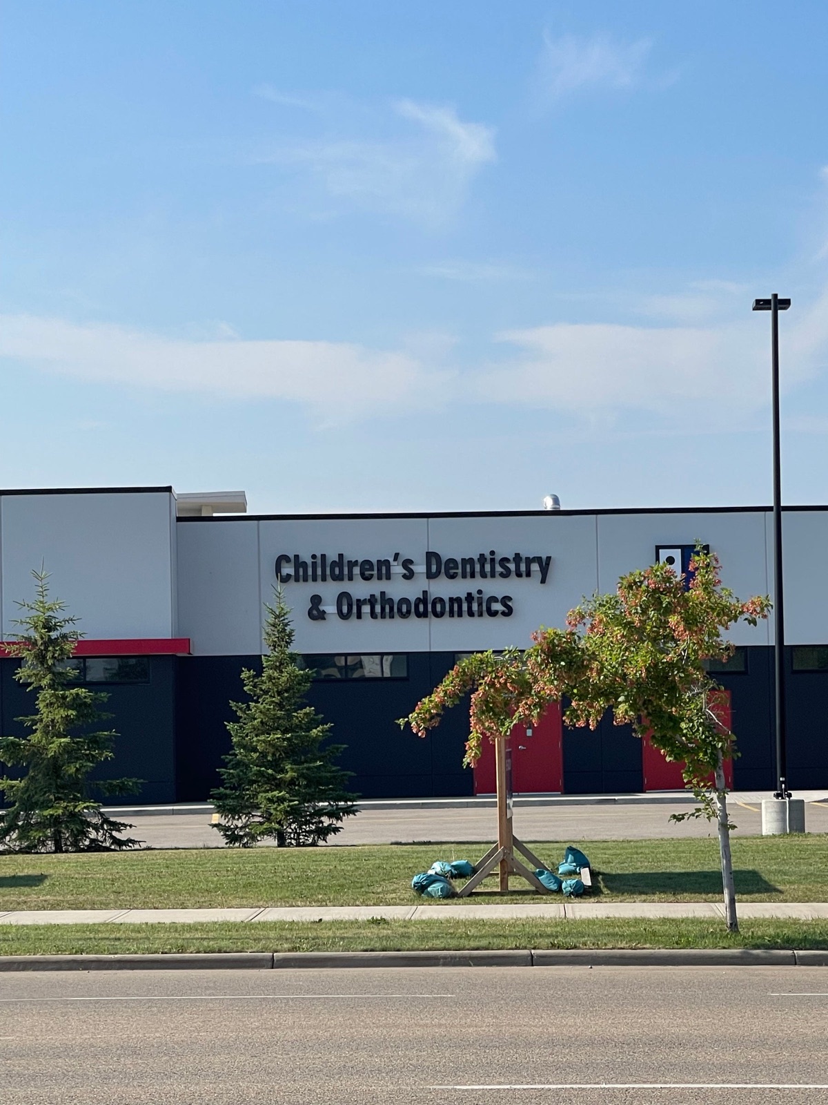 Children's Dentistry and Orthodontics building fascia channel letters